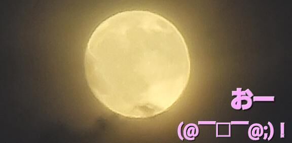 ！！　東の空にーー！