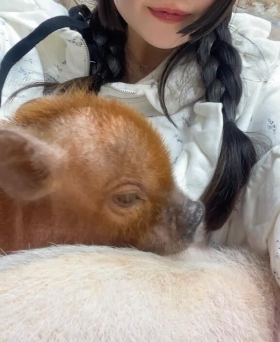 ♡♡かふぇ