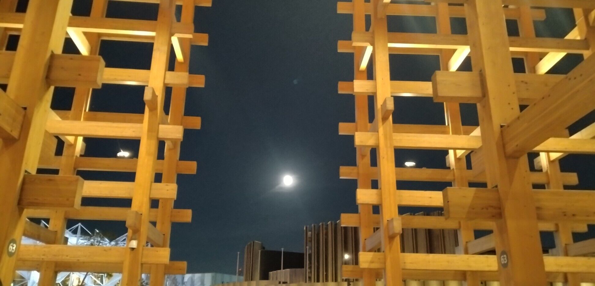 中秋の名月♪