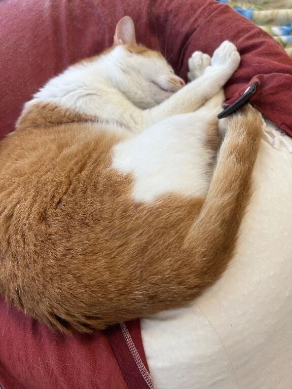 12時からです✨