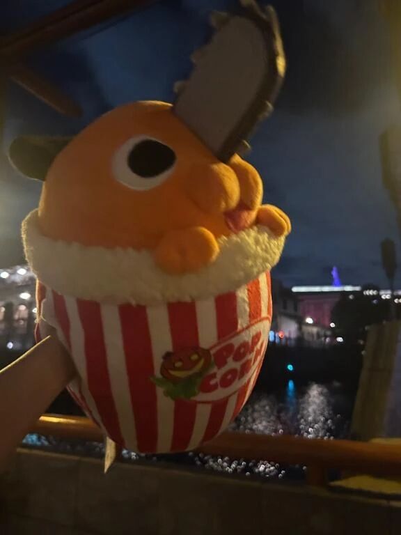 本日まで&#8252;&#65039;