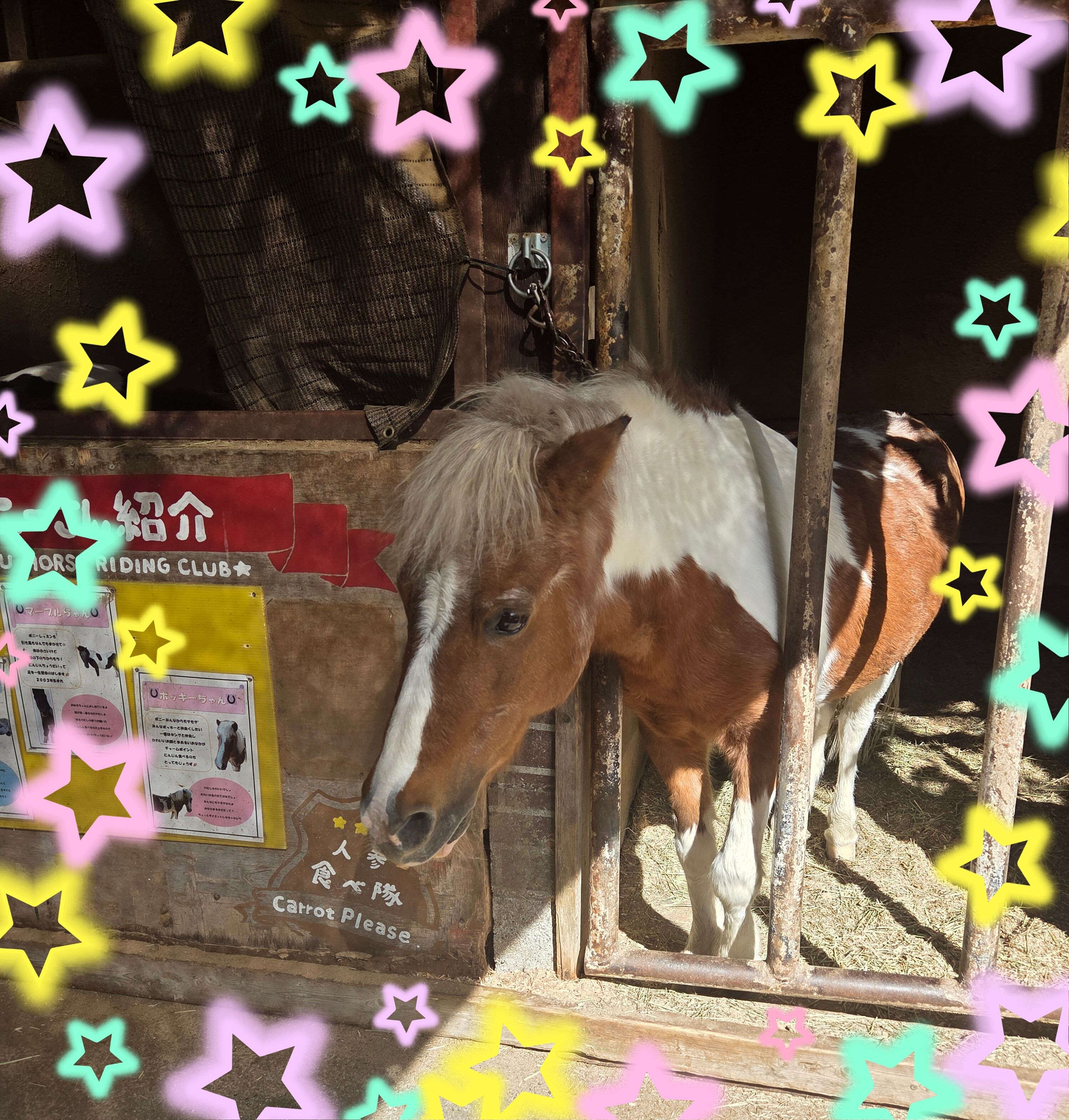 ⭐楽しかった⭐