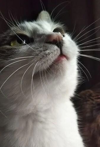 緊急イベント（個人イベント）