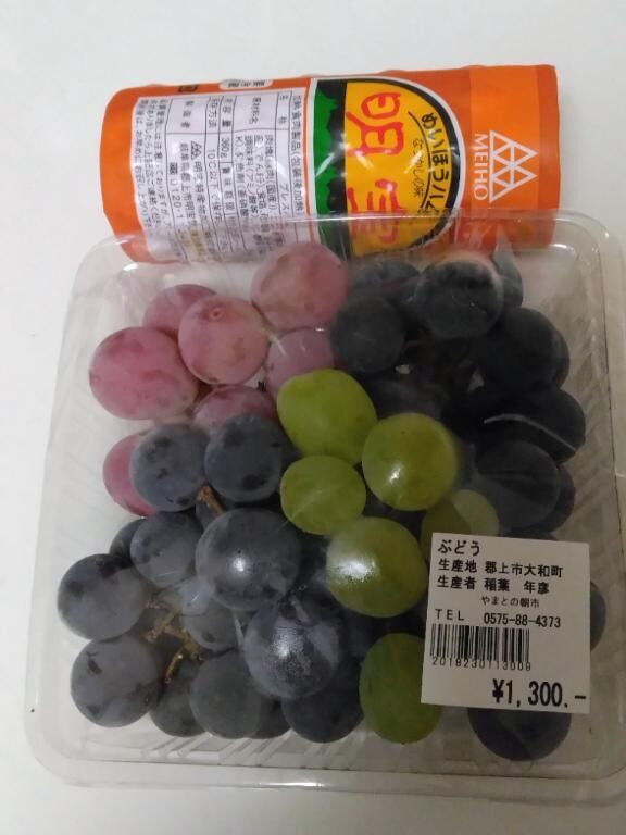 こんにちは