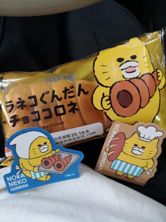 手に入れたー！！