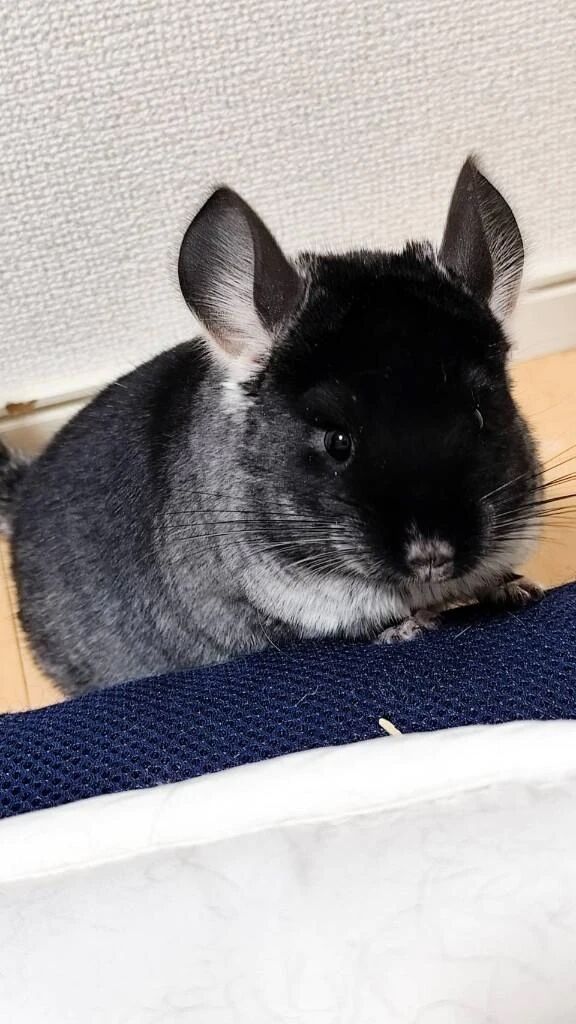 やっと