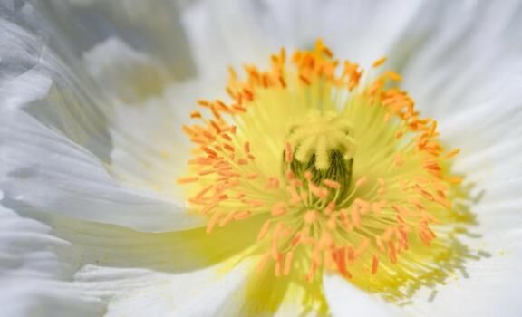 漢字がわからない