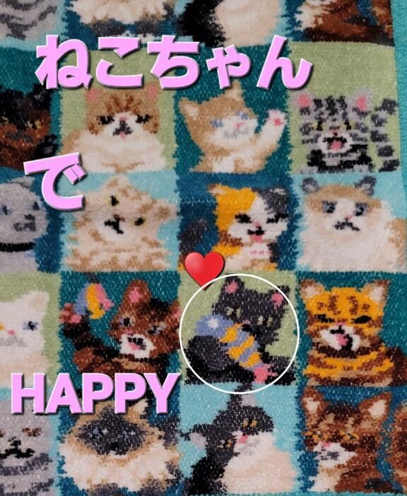 かおるさんに♡♡かわいいねこちゃんタオルとビタミン♡いただきましたー！