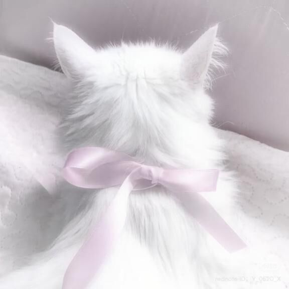 追加しました&#9825;