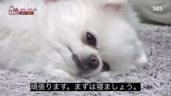 受付終了&#127775;