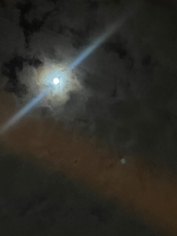 今日満月らしい♡