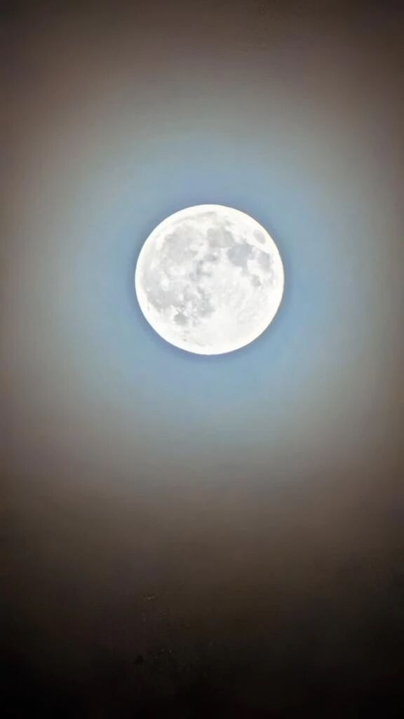 今夜は満月&#127765;&#65039;