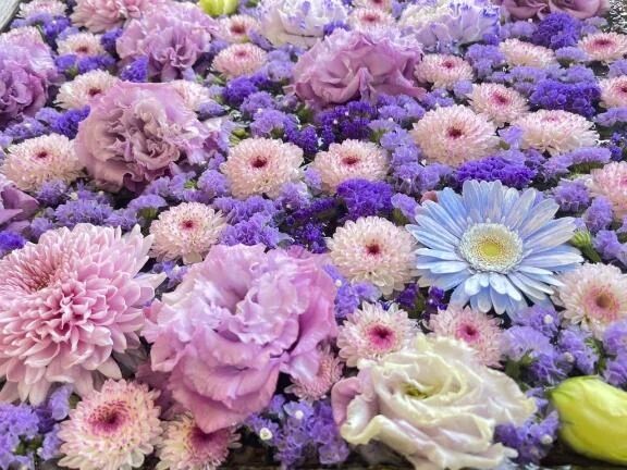 お知らせ土曜日梁