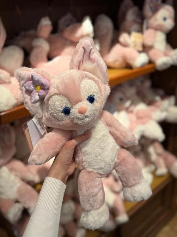 &#127800;ご予約完売御礼&#127800;