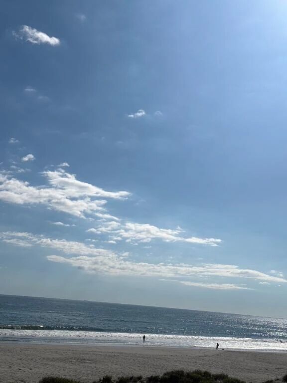 今日は休みです！