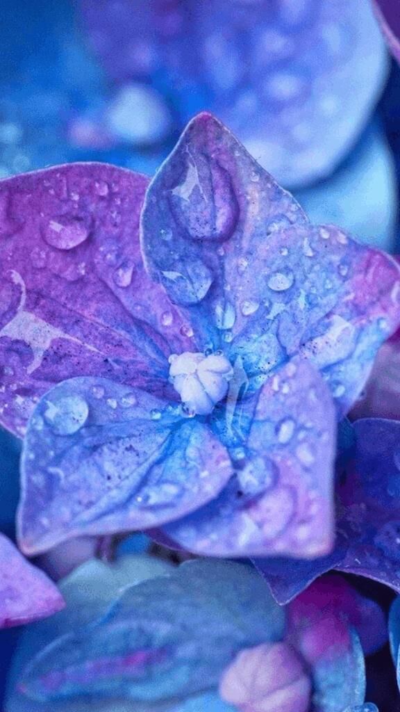 ☆こんにちは☆