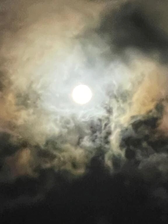 綺麗&#127765;&#128048;&#127765;