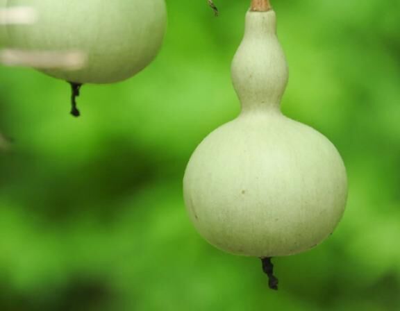 振り返ることも大事