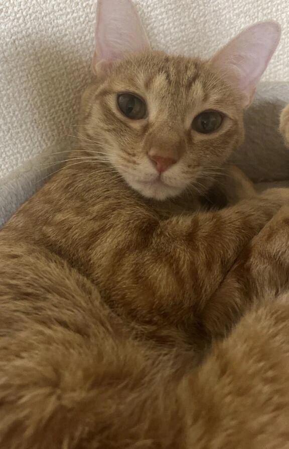 寝起き