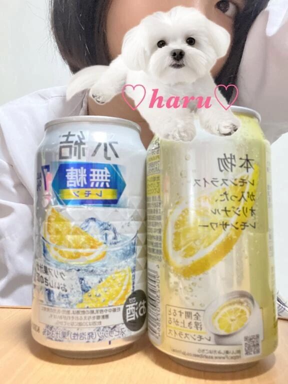 エネルギー注入&#127819;