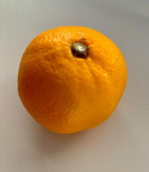 お菓子より栄養