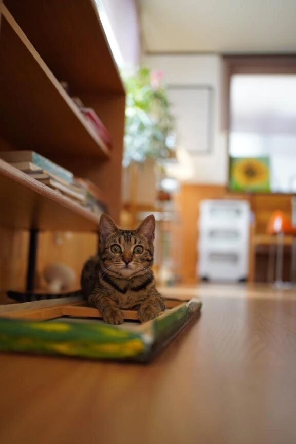 お礼日記&#128149;