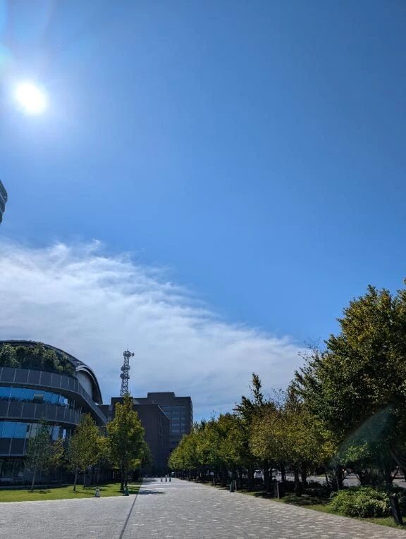 おはよのございます♪
