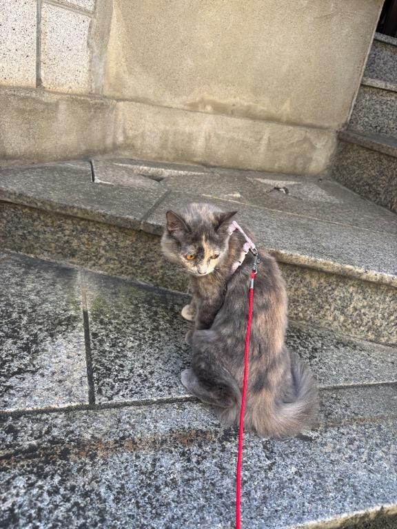 こんにちは