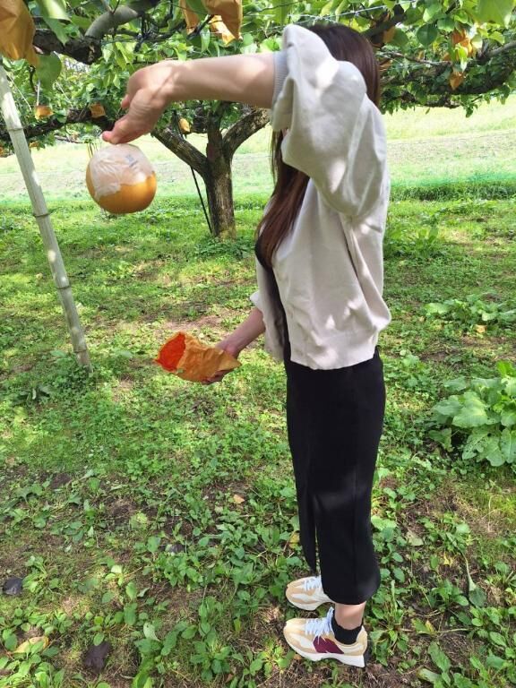こんにちは