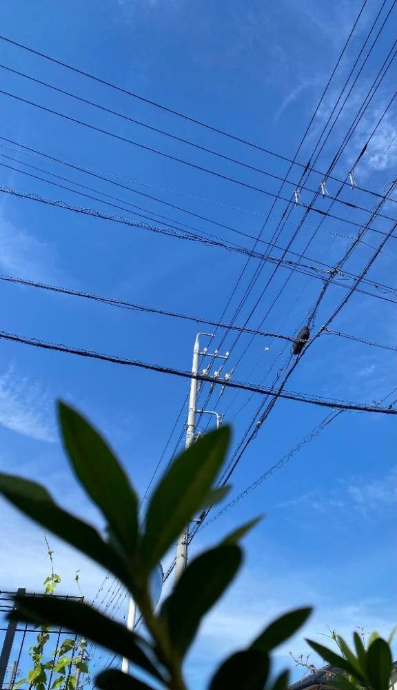 す&#x301C;って&#9825;&#9825;