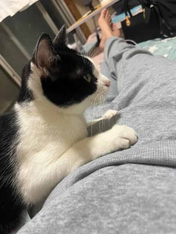 &#9825; &#9825;&#9825;&#9825;&#9825;&#9825;
