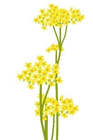 10月9日(木)　17時&#x301C; 殿方様&#9825;