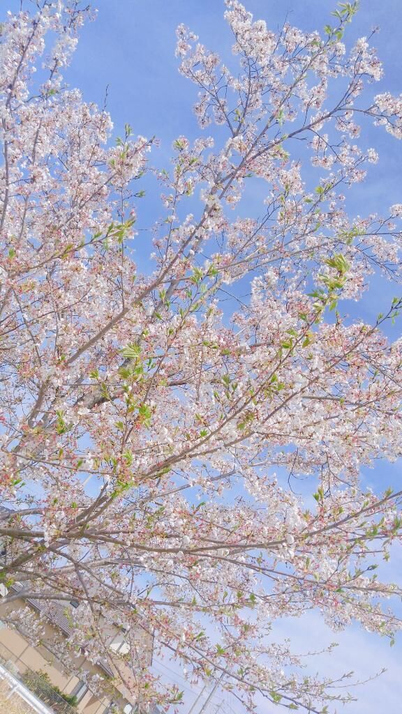 お知らせ致します&#9825;&#9825;&#9825;&#9825;