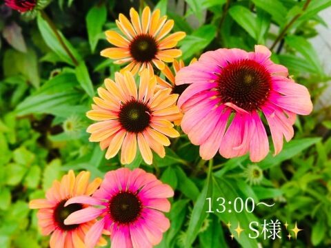 お礼状