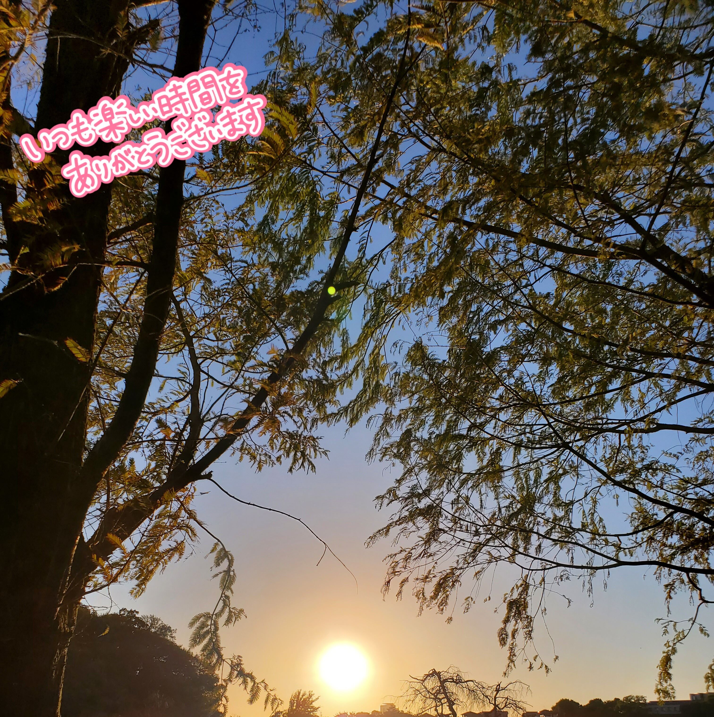 こんばんわ&#9825;