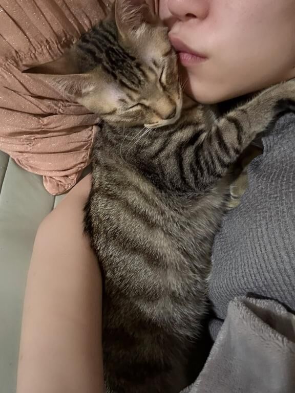 仲良しすきぴたん&#9825;