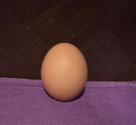 ゆで卵、ありがとう