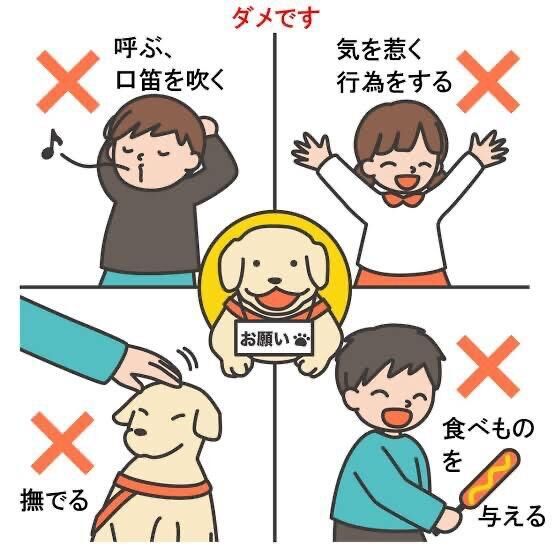アイメイト・デー、盲導犬の日（10月10日 記念日）