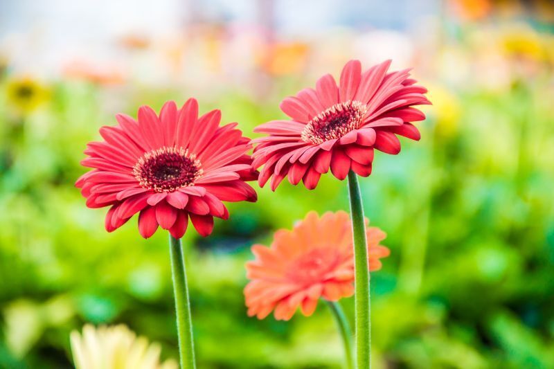 10日(金)　12時　&#9825;様