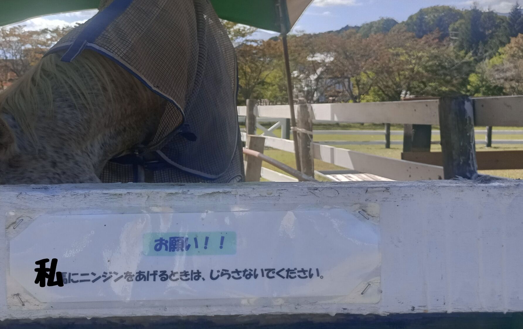 おやすみなさい&#127769;