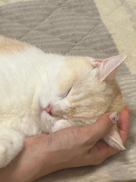 &#127873;ありがとうです&#129655;