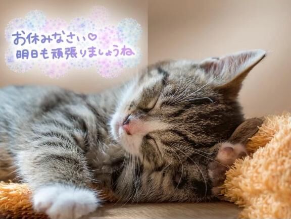 お休みなさい&#9825;