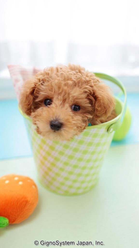 こんにちは&#9825;