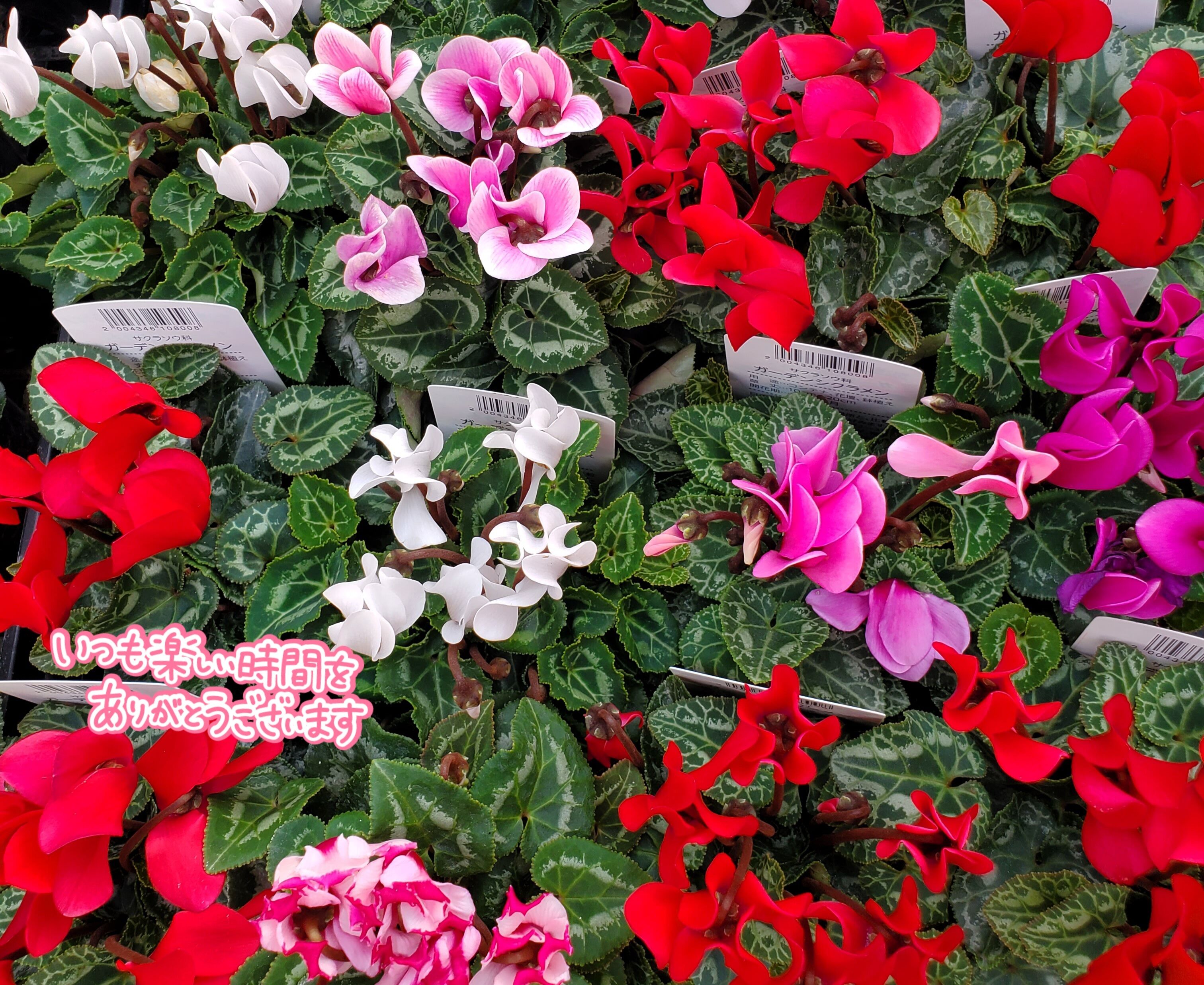 おはようございます&#9825;