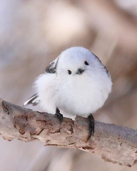 ごめんなさい。