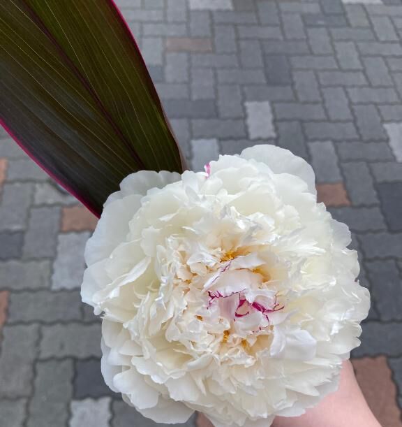 &#9825;お休みに変更です、次回は１９日