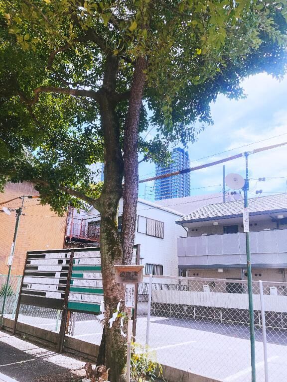 明日出勤します