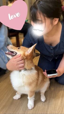 わんわん&#9825;&#9825;