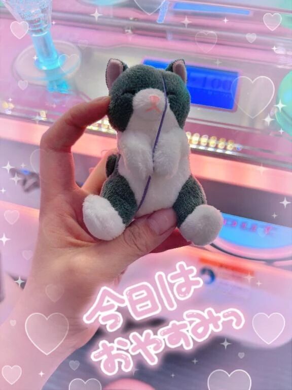 こんにちは！