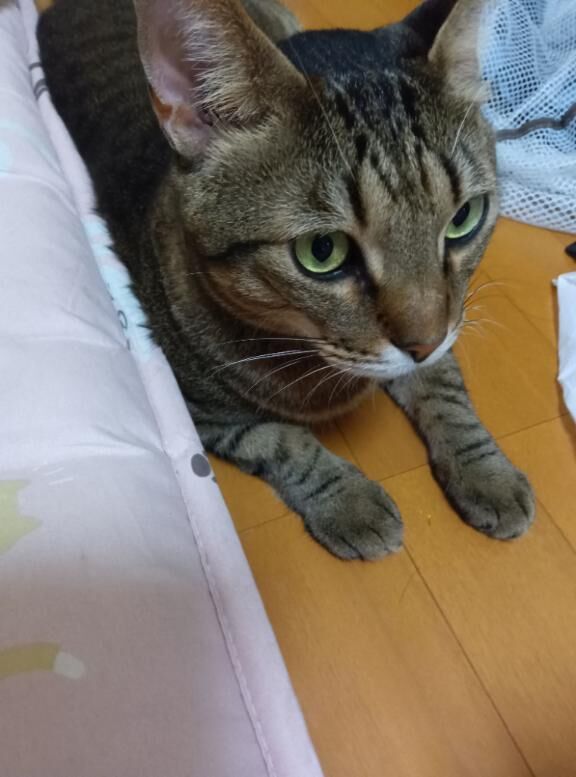 急遽！！！